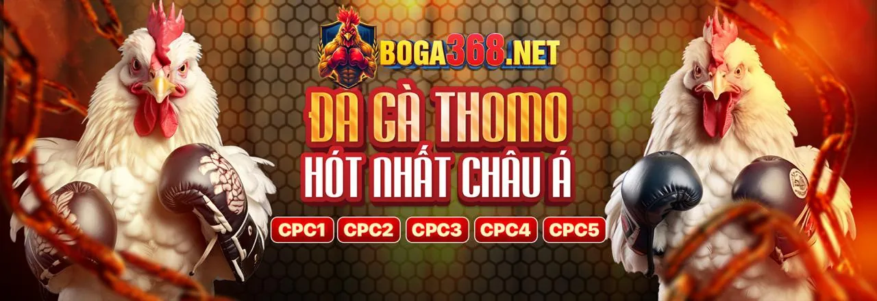 Trò chơi đa dạng 33vin app