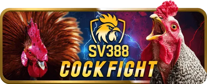 Nhận ưu đãi 33vin app